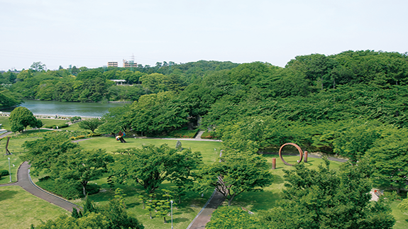 写真：東海市内で咲く桜