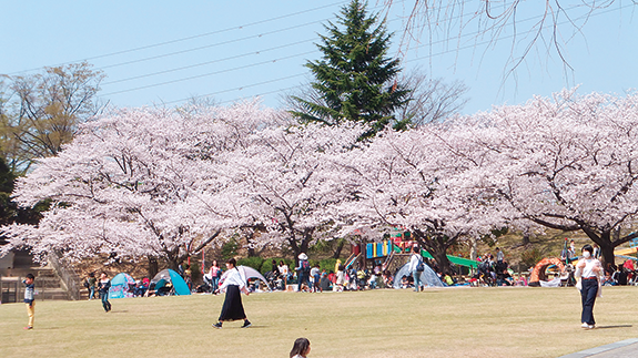 写真：太田まつり