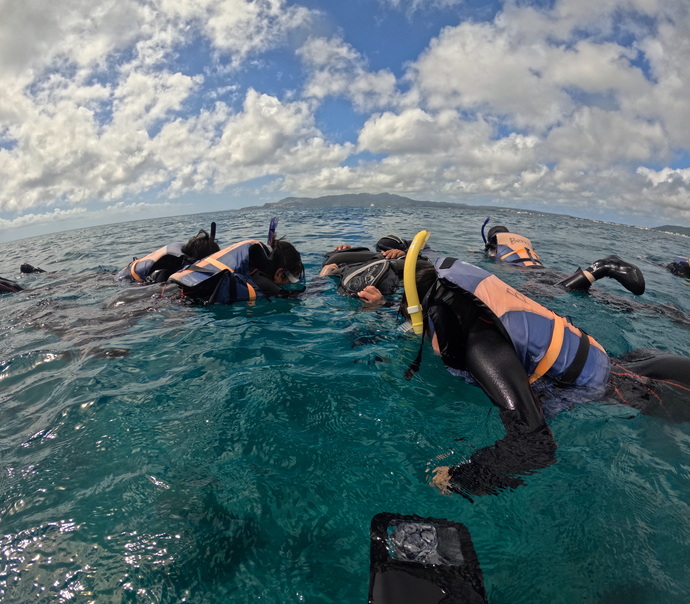 写真:自然体験活動の様子2