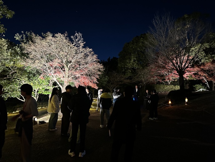 写真：もみじまつり