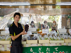 写真：生産者