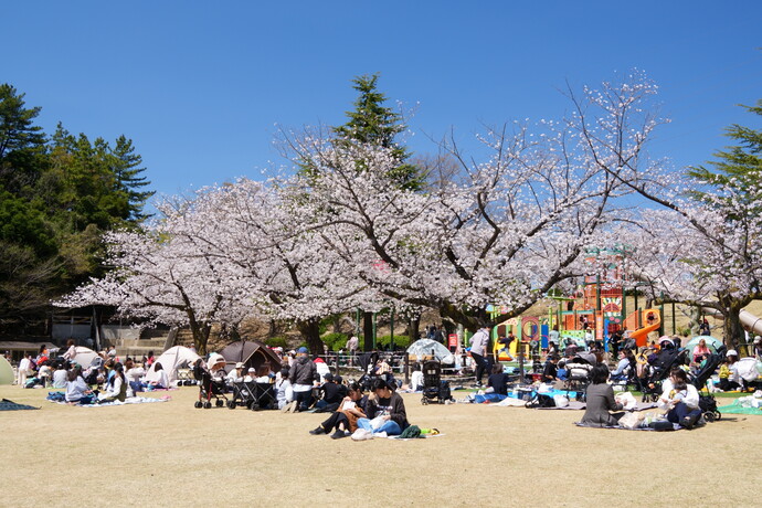 園内風景