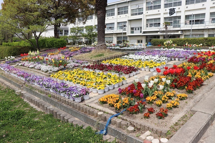 写真：令和4年haru hoikugaltukou