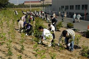 写真：中新田植樹