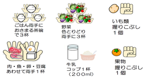 イラスト：一日の適量な食事