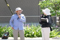 市橋名誉教授による解説