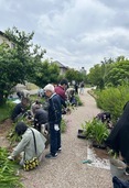 にぎわうランの道の写真