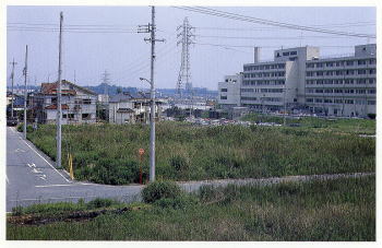 写真：丸根古墳跡