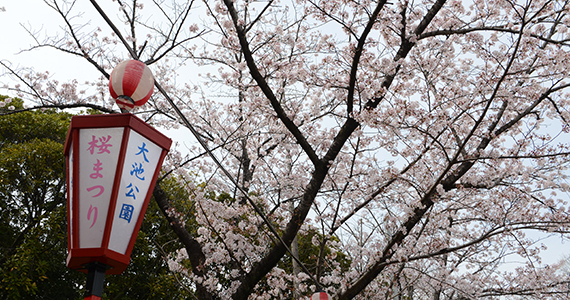 写真：サンプル