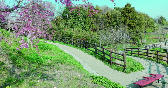 写真：今なお残る里山の風景