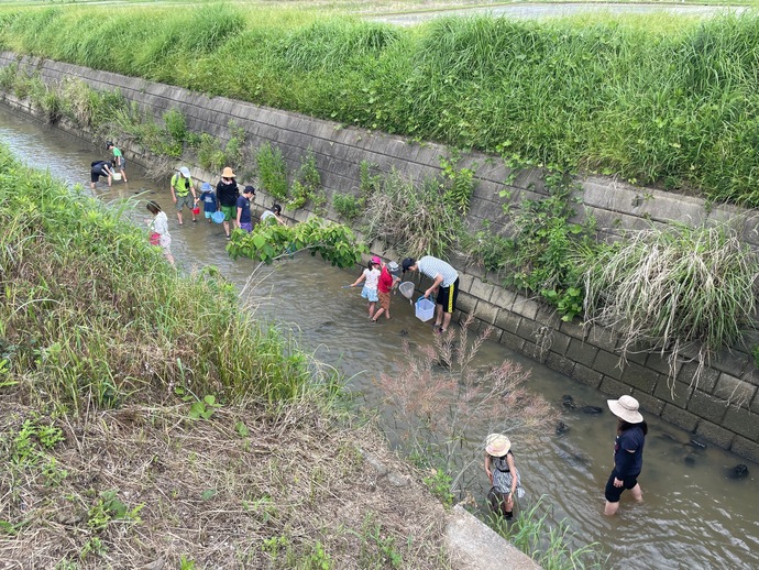 上野新川