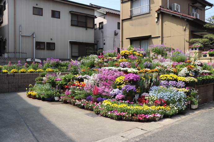 写真：令和5年haru kozinzyoukyuu