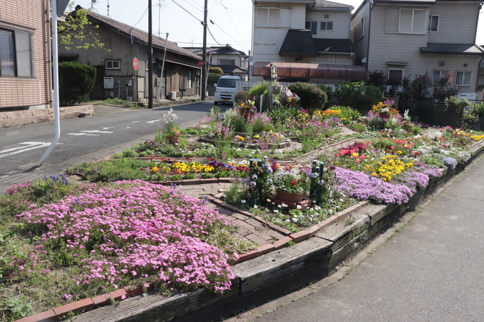 写真：令和5年haru kyoudouzyoukyuu