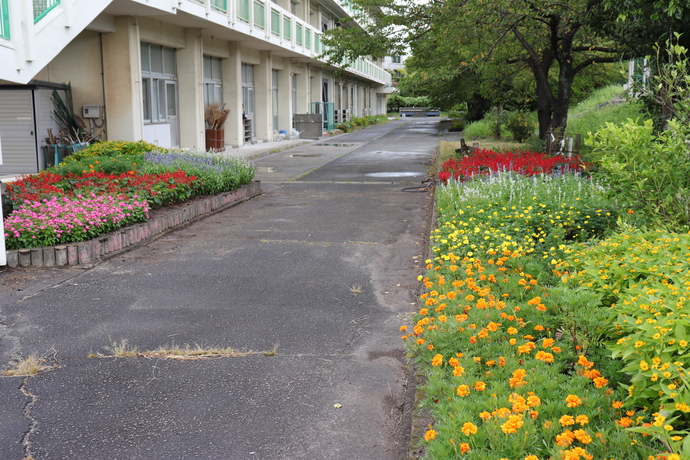 写真：令和5年秋の花壇コンクール 保育園・学校花壇の部