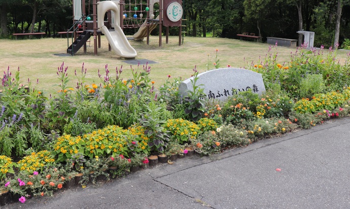 写真：令和5年秋の花壇コンクール 共同花壇の部(一般)