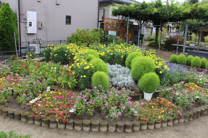 写真：令和5年秋の花壇コンクール 共同花壇の部(上級)