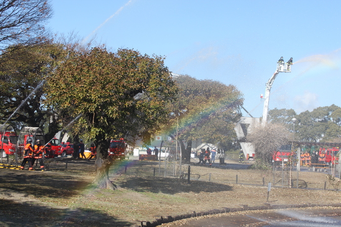 出初式放水写真