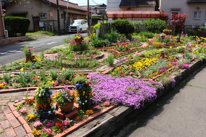 写真：令和6年花壇コンクール 共同花壇の部(上級)