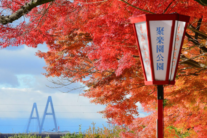 聚楽園公園もみじと聚楽園大仏