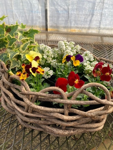 お店のイメージ写真