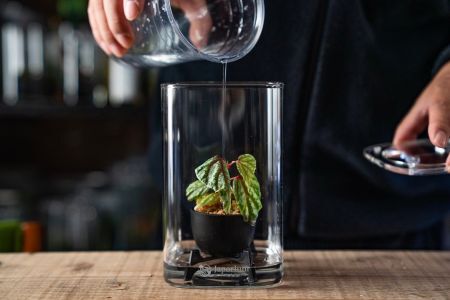 プランツカップのイメージ2