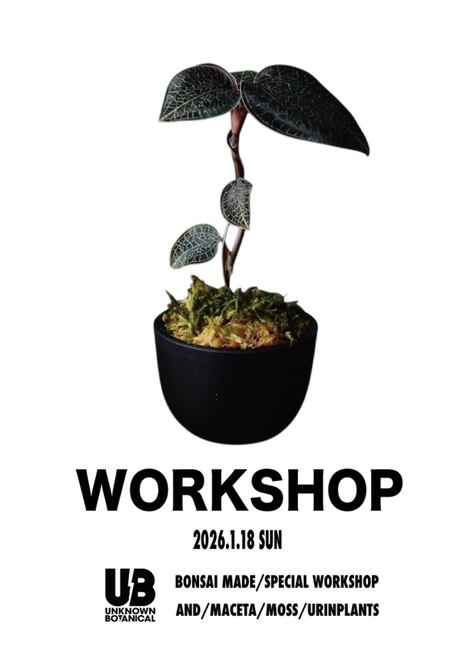 ワークショップのイメージ3