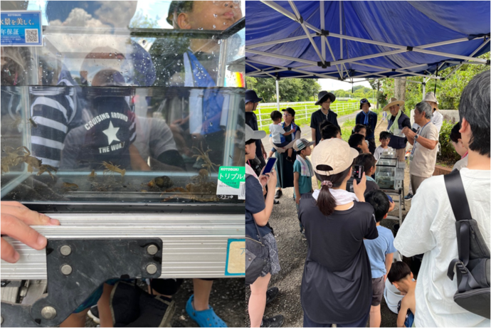 夏の上野新川で生き物を調べよう　その2