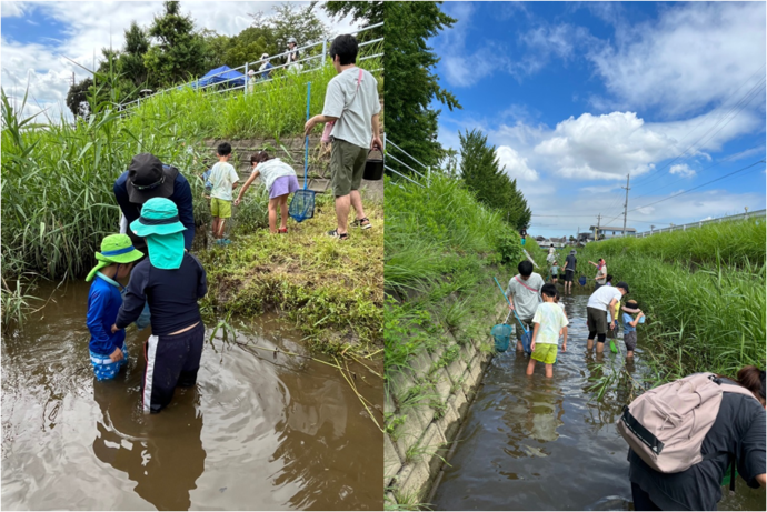 夏の上野新川で生き物を調べよう　その1