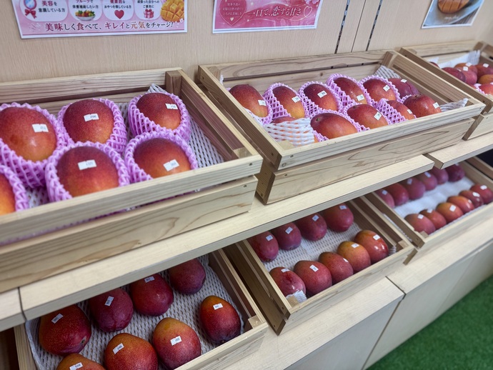 写真:商品1