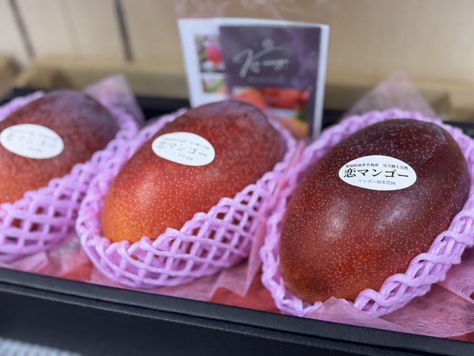 写真:商品2