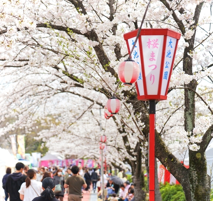 桜まつり