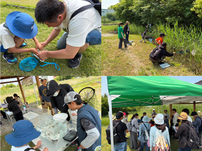 中新田緑地生物調査の様子