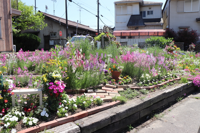 写真：令和8年度花壇コンクール 共同花壇の部(上級)