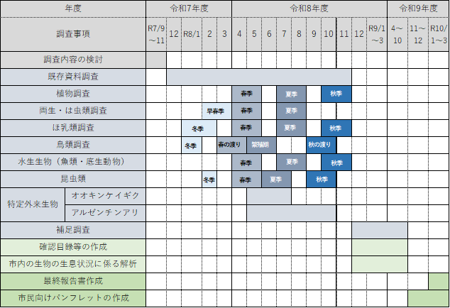 調査スケジュール